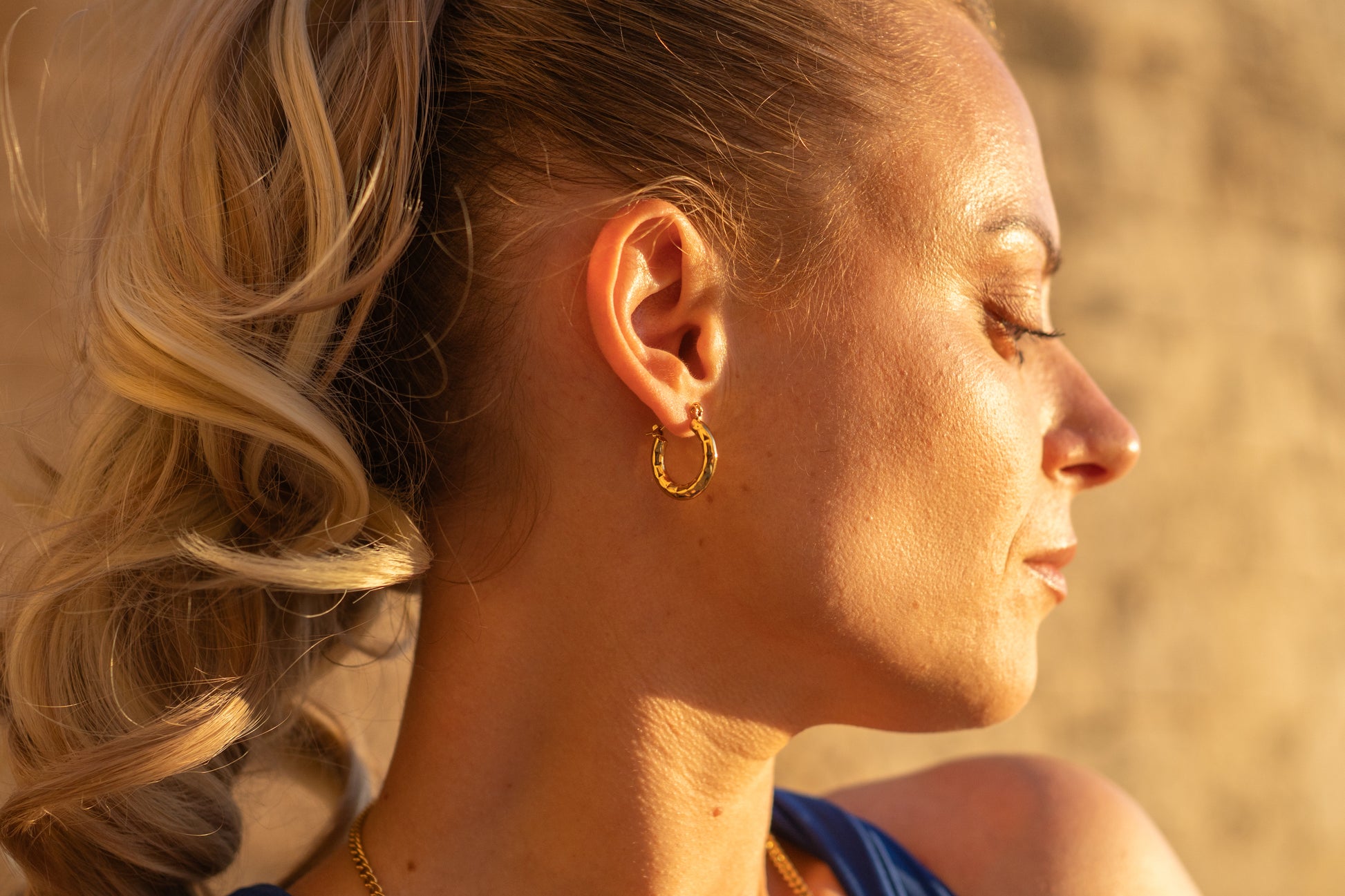 Victoria Earrings Hoops