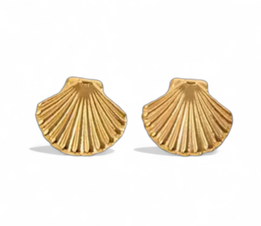 Shells Studs Earrings